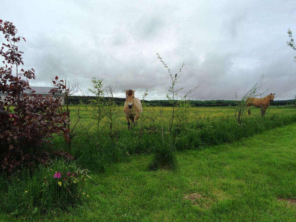 B&B La Ferme Du Doux ลิบรามองต์ ภายนอก รูปภาพ